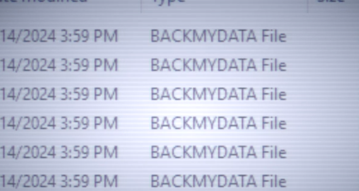 A screenshot of many computer files with BACKMYDATA as the filename
