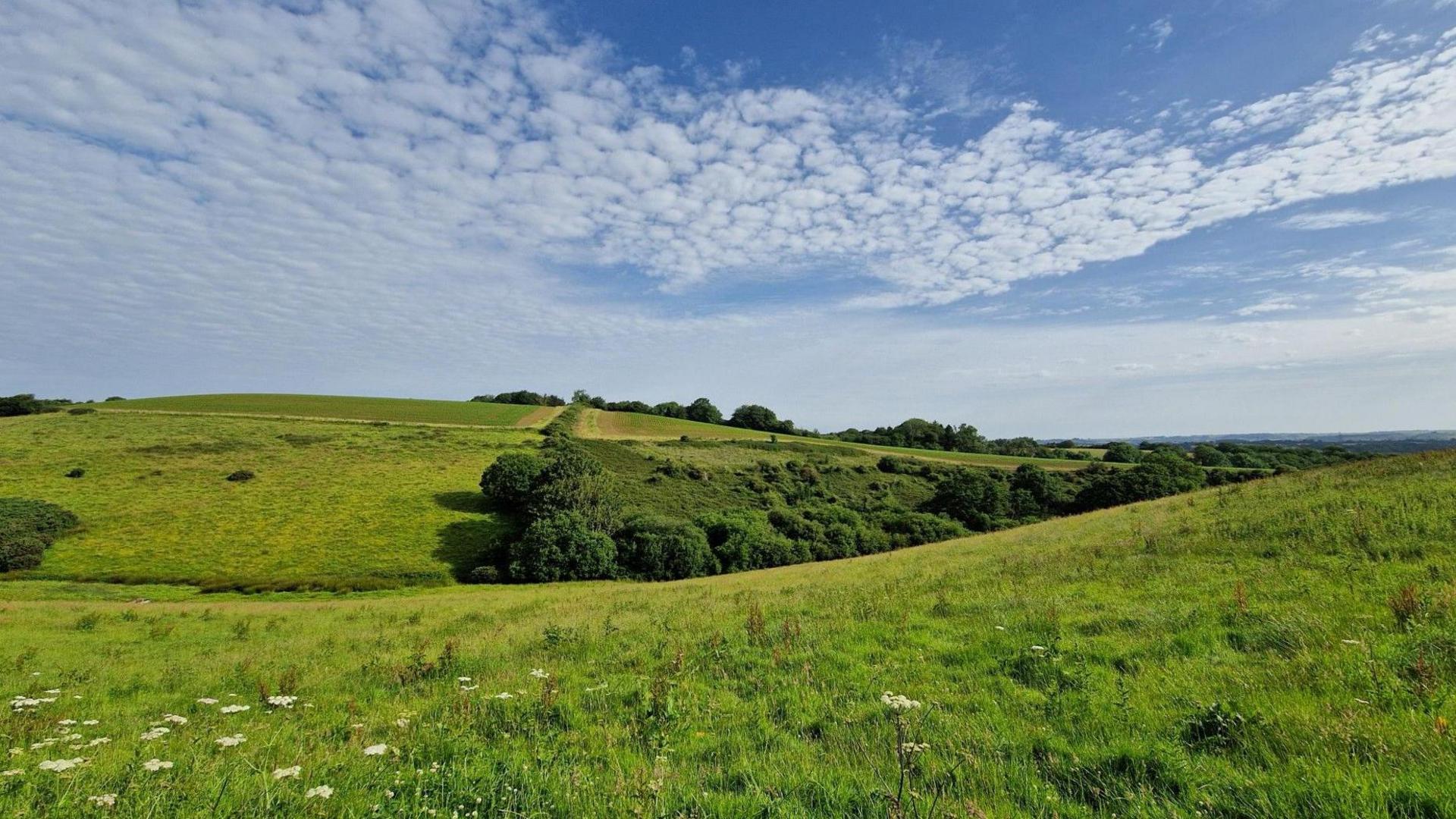 Grassy rolling hills under blue sky and patchy cloud