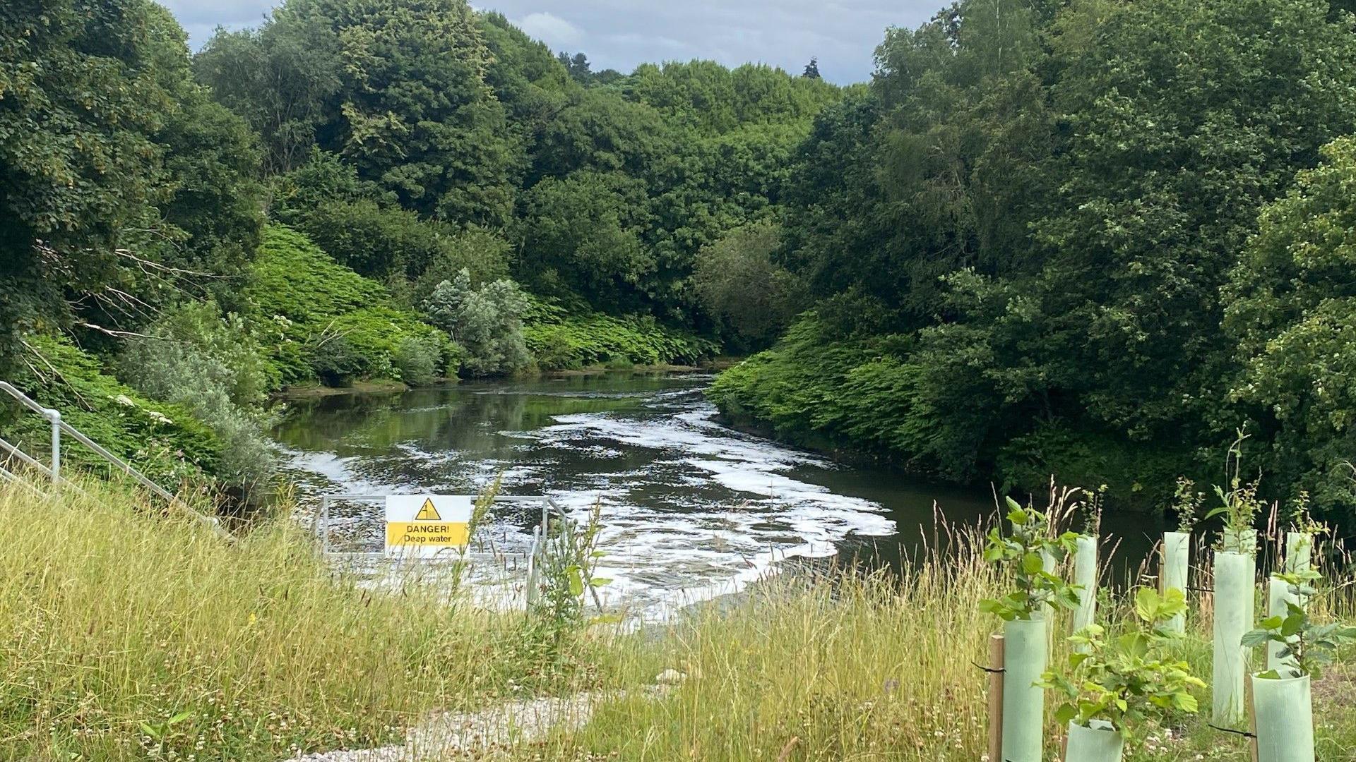 The River Irwell surrounded by plants and green shrubs on the river banks