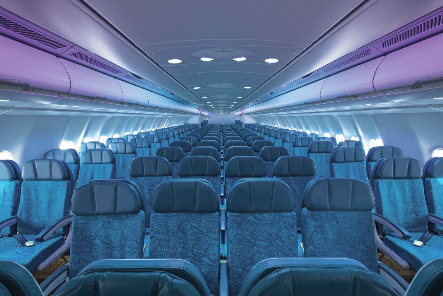 Image may contain Aircraft Transportation Vehicle Airplane Airplane Cabin Chair and Furniture