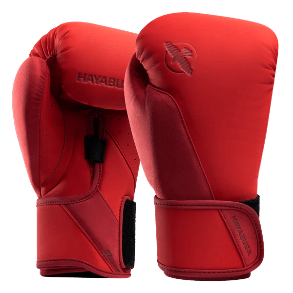 Hayabusa