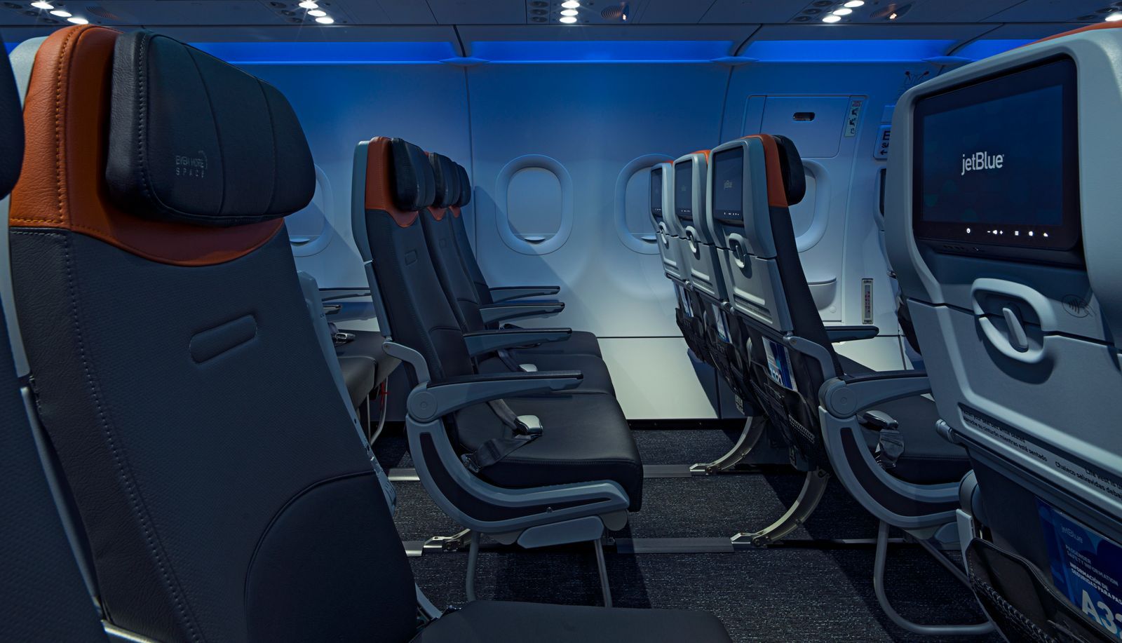 Image may contain Aircraft Transportation Vehicle Airplane Chair Furniture Airplane Cabin Cushion and Home Decor