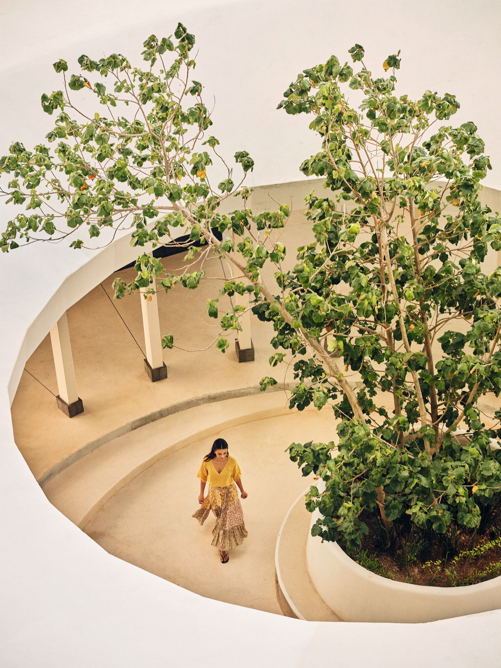Image may contain Plant Tree Potted Plant Herbal Herbs Adult Person Oak Sycamore Vegetation and Outdoors