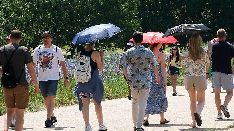 About seven people walking through a park on a concrete path with trees and flowers beside them. Three are holding umbrellas to shield them from the sun. Most are in shorts and T-shirts.