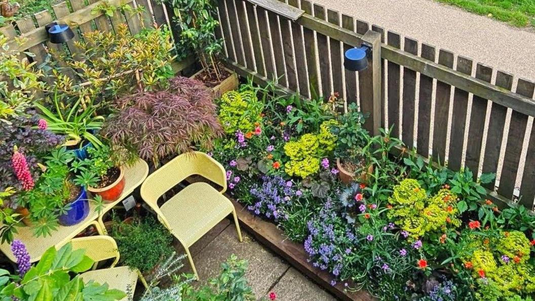 A tiny colourful garden with yellow chairs and table in the middle. A wooden fence runs around the outside