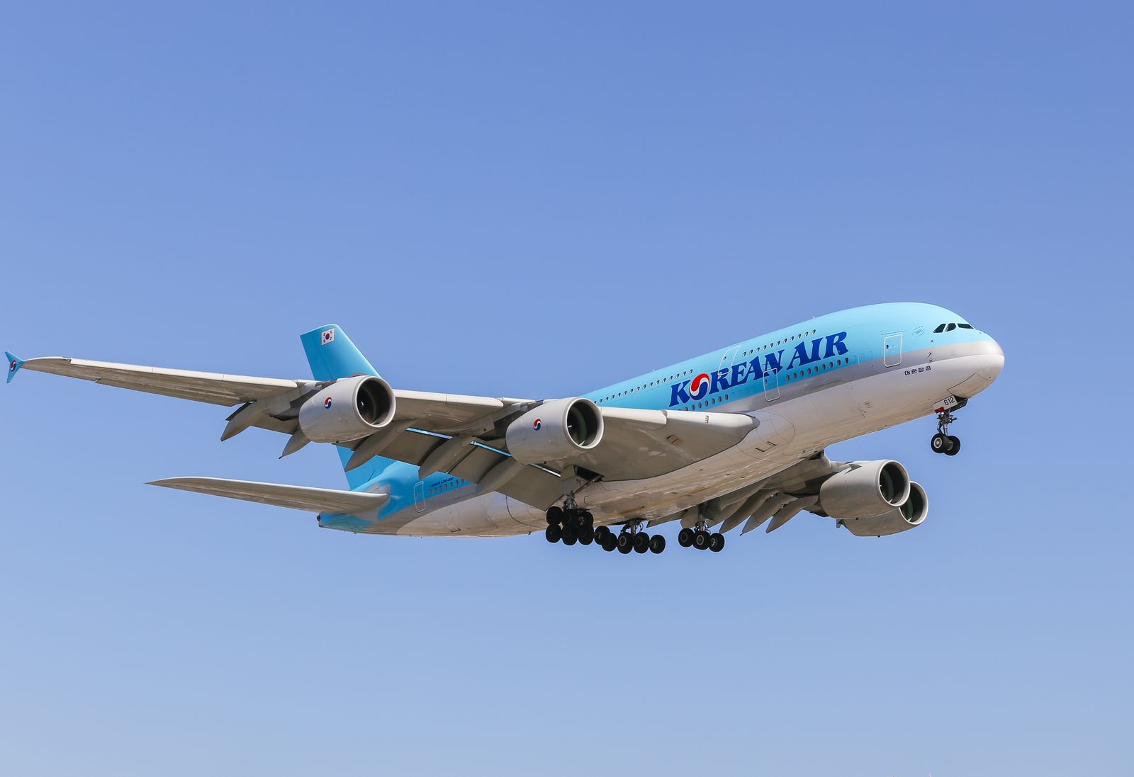 Image may contain Transportation Vehicle Aircraft Airplane Flight and Airliner