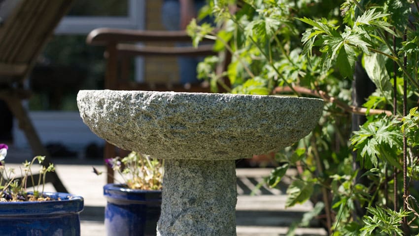 The Sensory Garden: The Wellbeing Trend Designing for Sound, Scent and Touch The Sensory Garden: The Wellbeing Trend Designing for Sound, Scent and Touch