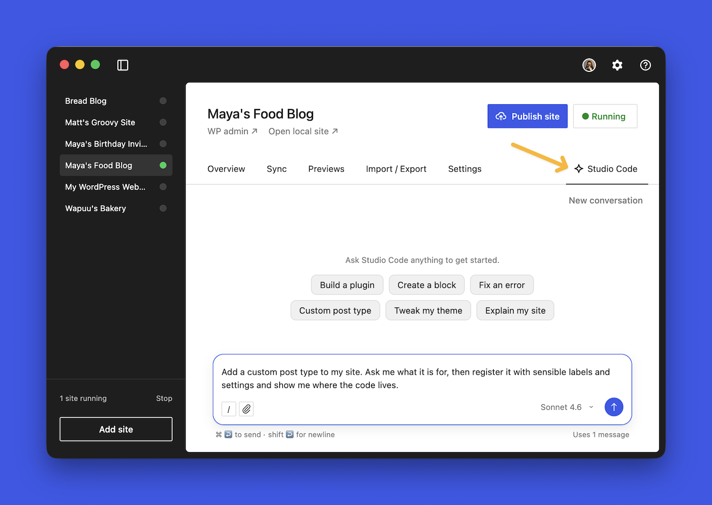 The WordPress Studio desktop app open on the Studio Code tab