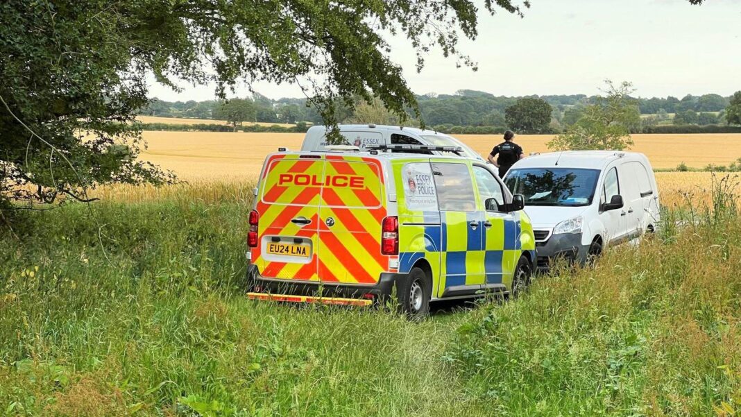 Two dead after plane crashed during flight experience Two dead after plane crashed during flight experience