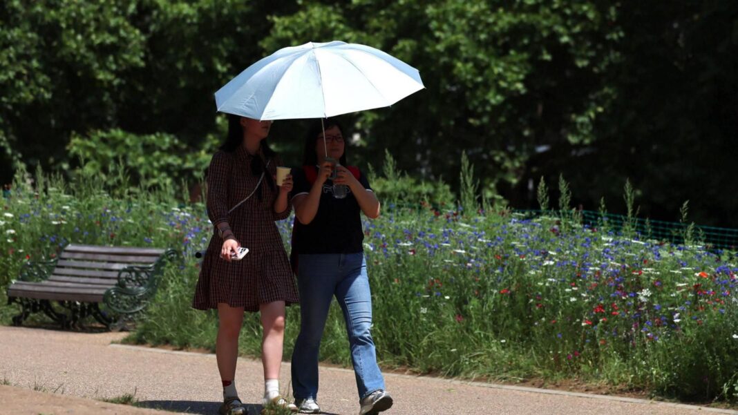 UK temperatures forecast to exceed 30C as another heatwave imminent UK temperatures forecast to exceed 30C as another heatwave imminent