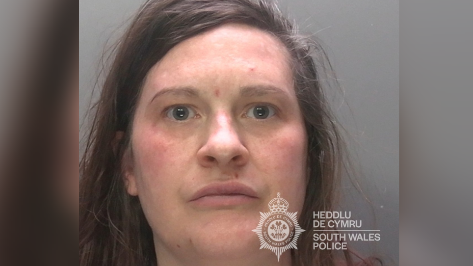 A mugshot of Louise with messy brown hair. She is looking at the camera with a neutral expression.