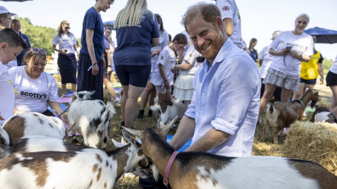 Prince Harry, wearing a light blue shirt, smiles at the camera while sitting down surrounded by goats.