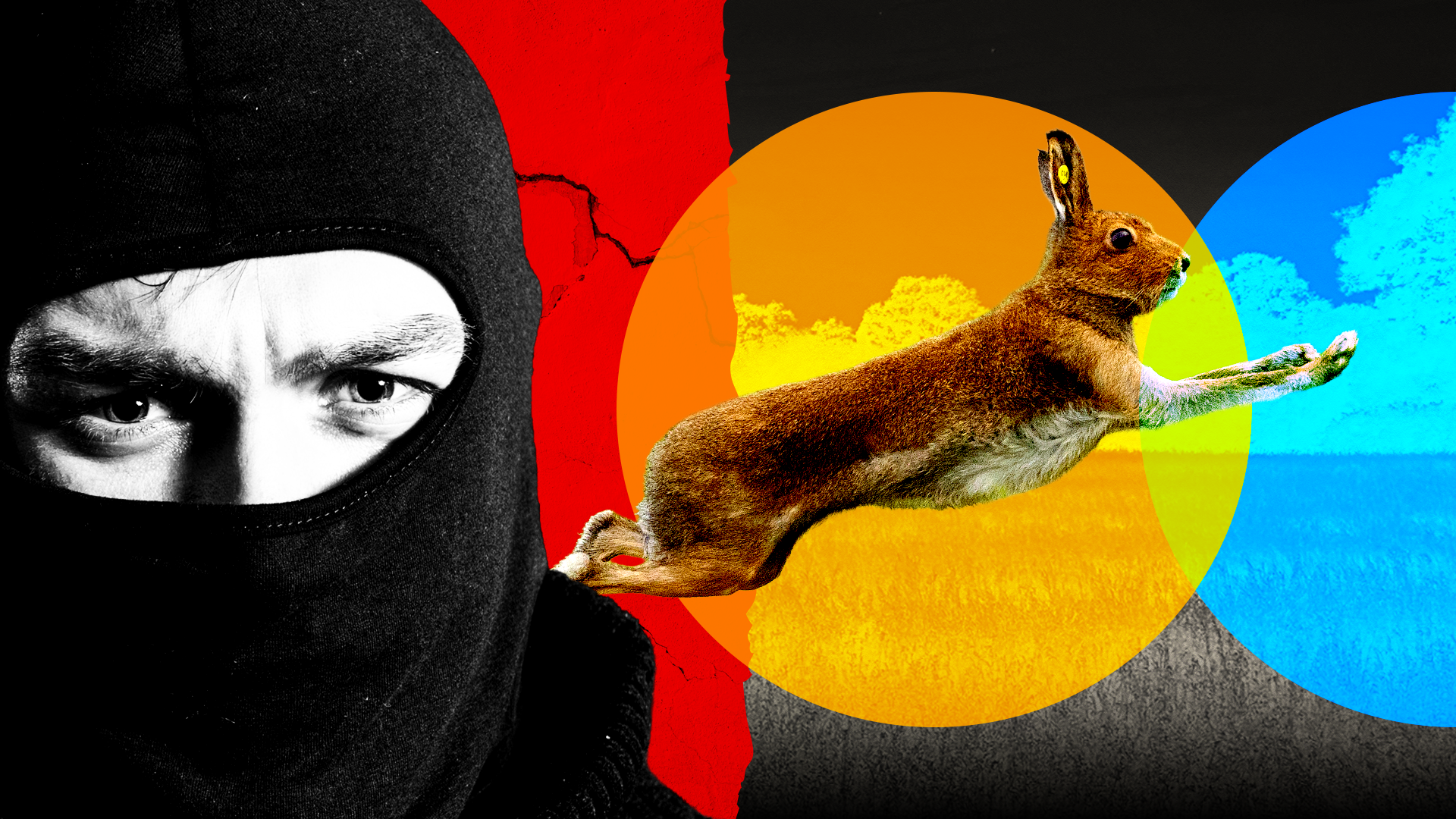 A designed composite image featuring a background of a grassy field with a running hare, which is overlaid with abstract coloured circles as if in a spotlight. In the foreground, a man in a black balaclava stares out.