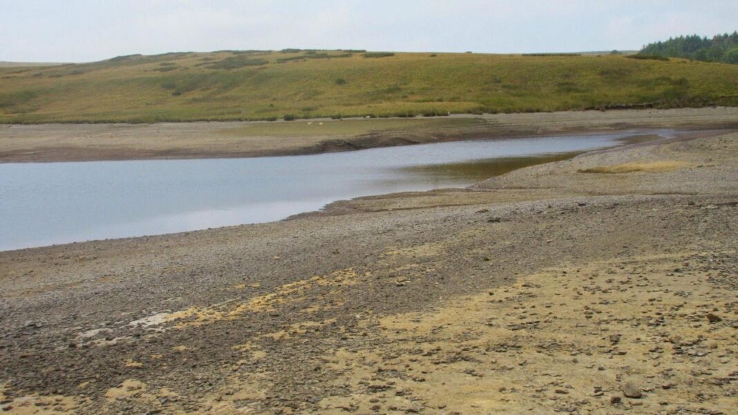 Drought declared across whole of Wales as conditions ‘deteriorate’ Drought declared across whole of Wales as conditions ‘deteriorate’