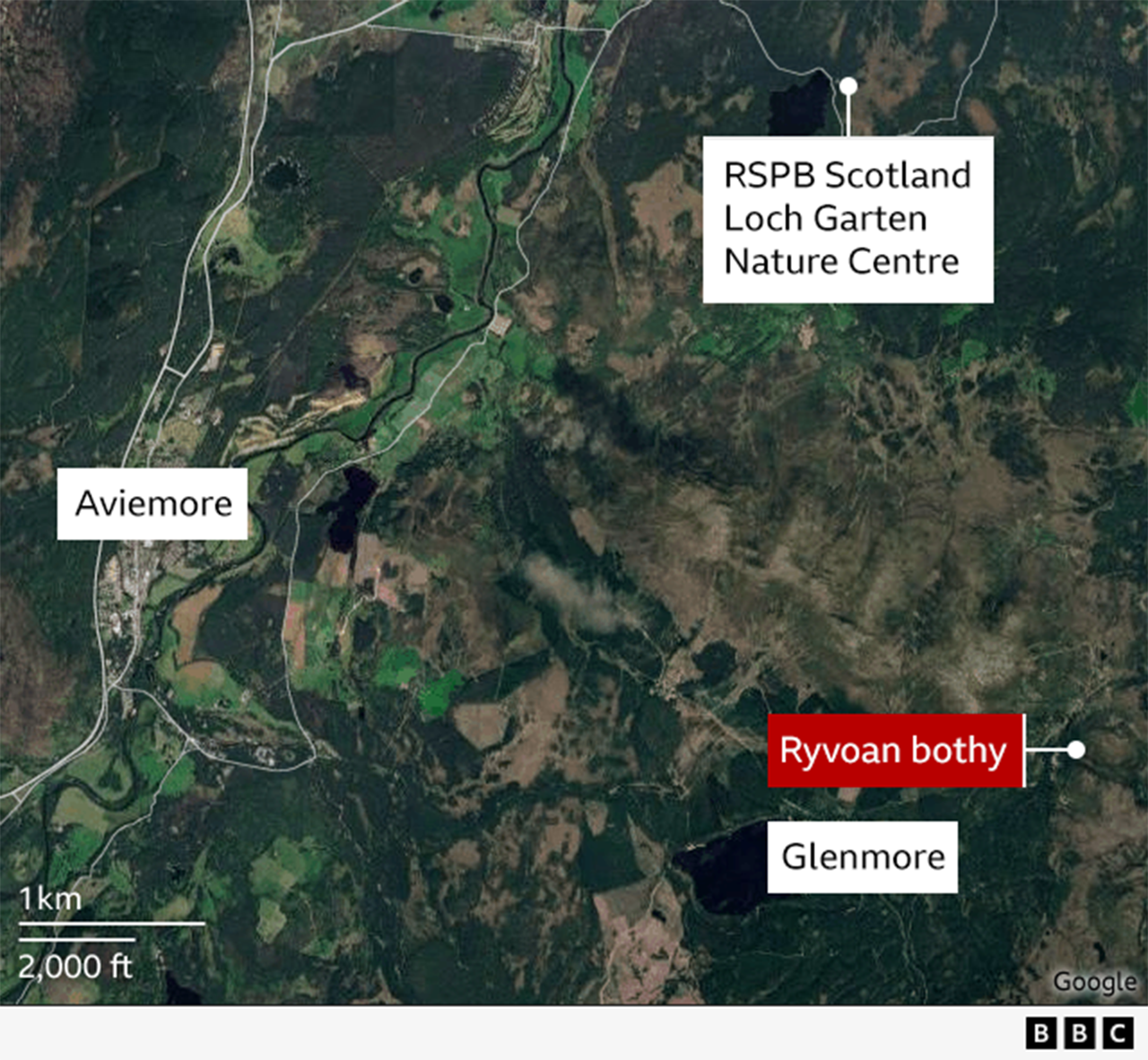 Satellite map of the Aviemore area in the Highlands, showing labels for Aviemore, Glenmore, RSPB Scotland Loch Garten Nature Centre, and Ryvoan Bothy.