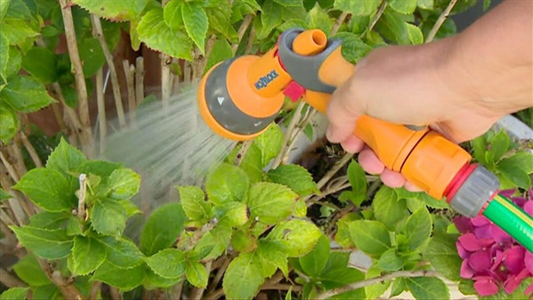 Hosepipe ban for Hampshire and Isle of Wight Hosepipe ban for Hampshire and Isle of Wight