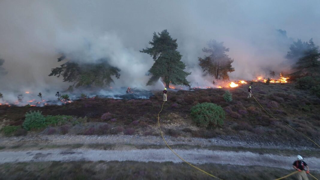 Suffolk wildfire still growing and unpredictable, says fire service Suffolk wildfire still growing and unpredictable, says fire service