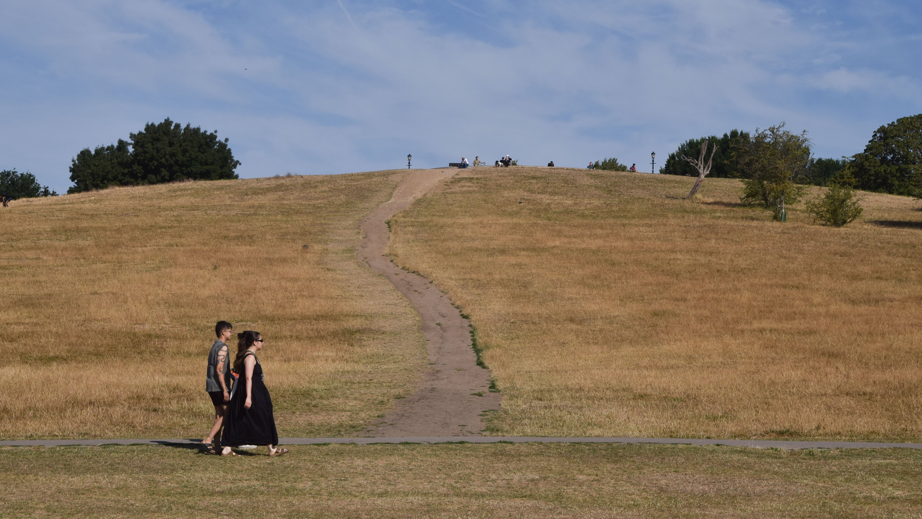 A man and a woman walk along a brown, parched Primrose Hill following an extremely dry spell of weather and numerous heatwaves