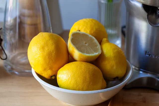 house lemonade house lemonade