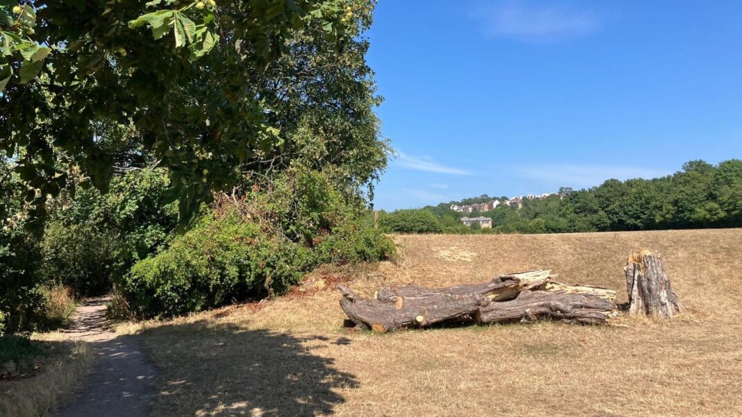 Two charged as body found in suitcase in woods Two charged as body found in suitcase in woods