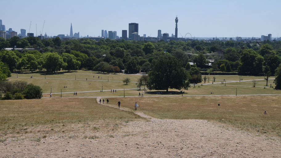 A view of very dry land and grass on Primrose Hill as the UK heatwave continues