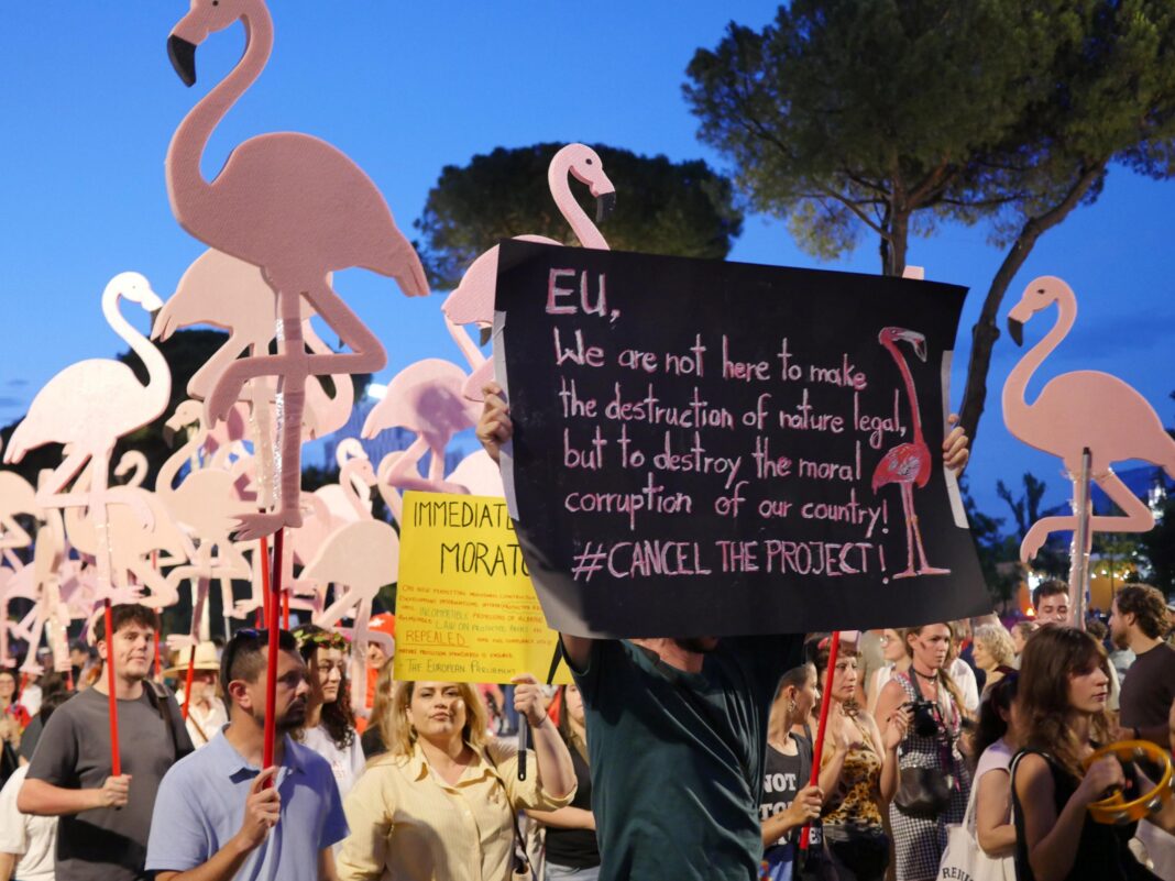 ‘Flamingo Revolution’ takes off as thousands demand Albanian PM’s resignation ‘Flamingo Revolution’ takes off as thousands demand Albanian PM’s resignation