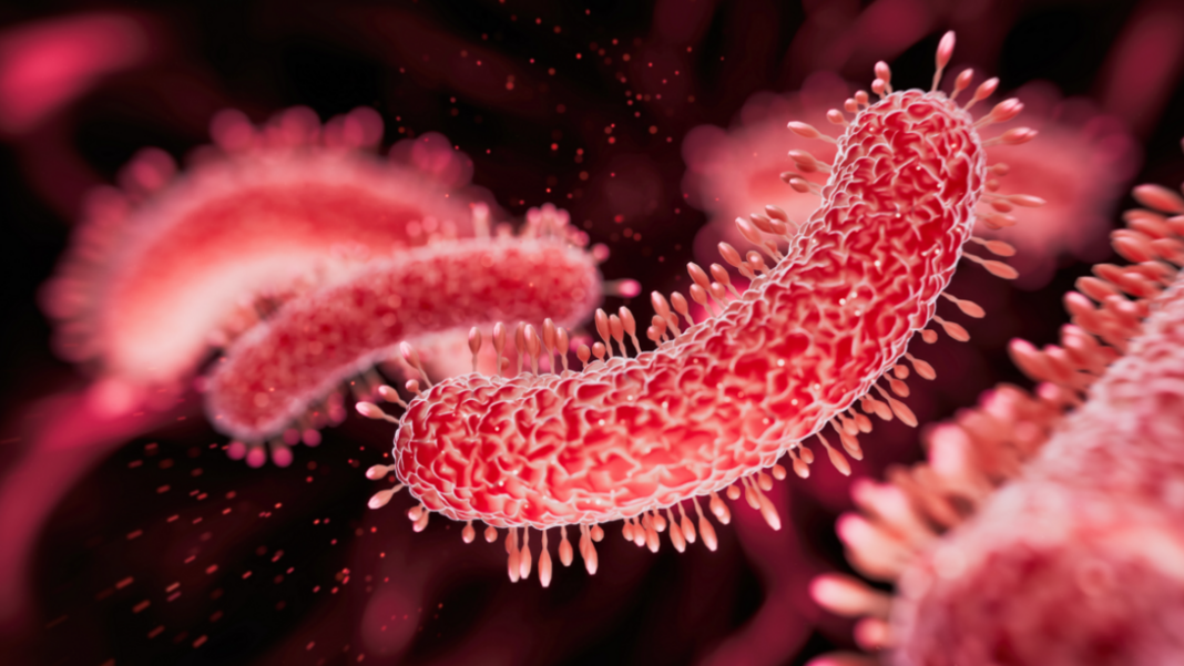 Legionnaires’ outbreak hits New York as officials rush to test water towers Legionnaires’ outbreak hits New York as officials rush to test water towers