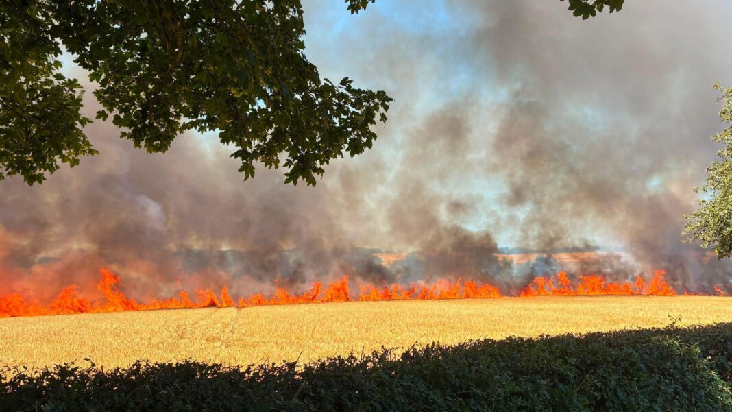 Major incident declared in Wales as firefighters tackle wildfires across UK Major incident declared in Wales as firefighters tackle wildfires across UK