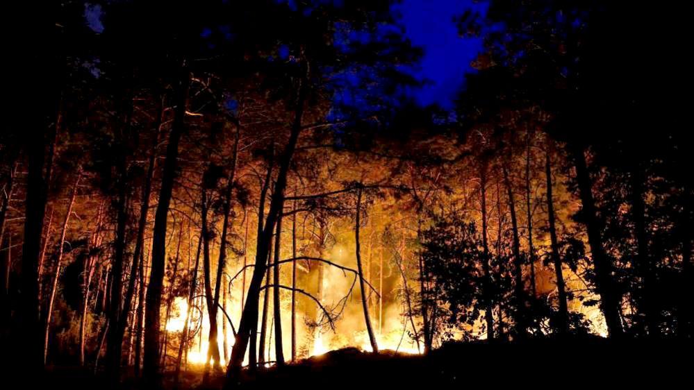 A wildfire burns in Noisy-sur-Ecole near Fontainebleau, southern Paris