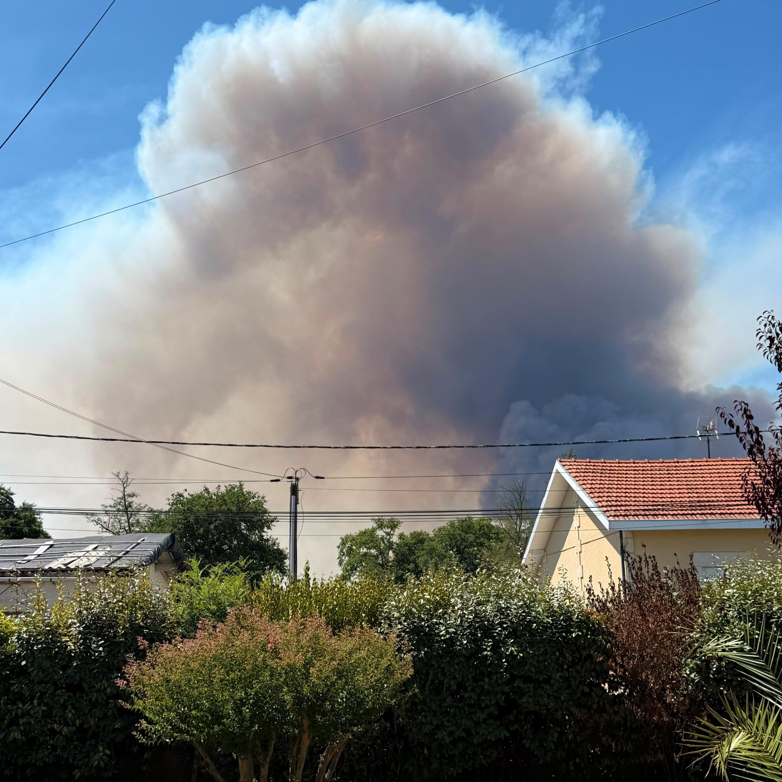 A huge cloud of smoke can be seen in the bright blue skies about a skyline of small houses, with a number of green bushes visible in the foreground
