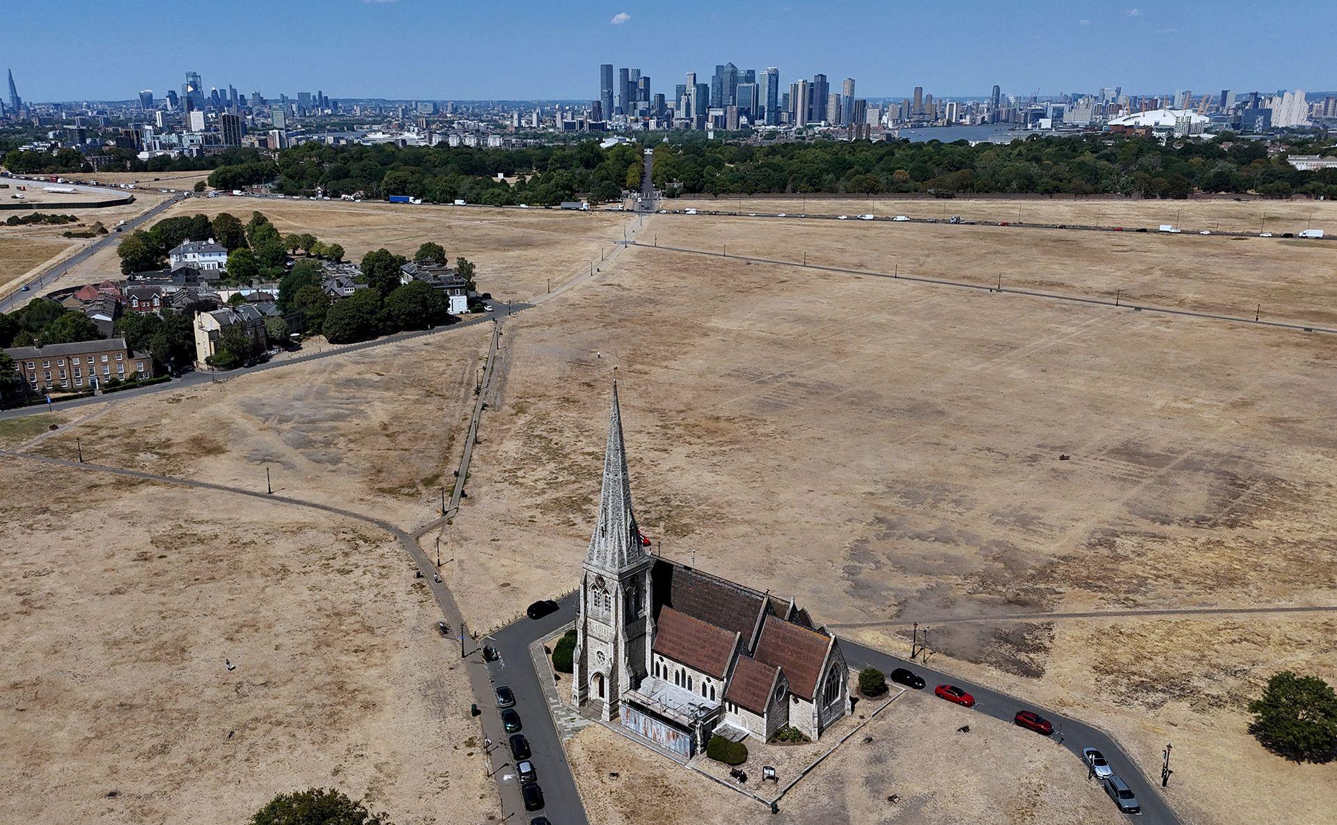 Blackheath, south London, on 29 July 2026.