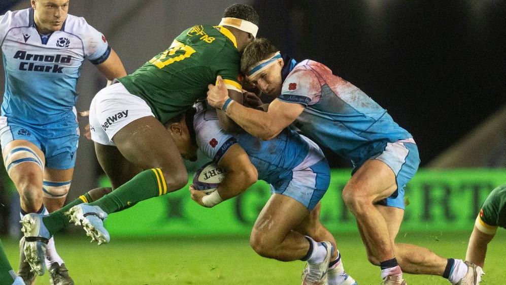 Springboks will provide rising Scots with true yardstick Springboks will provide rising Scots with true yardstick