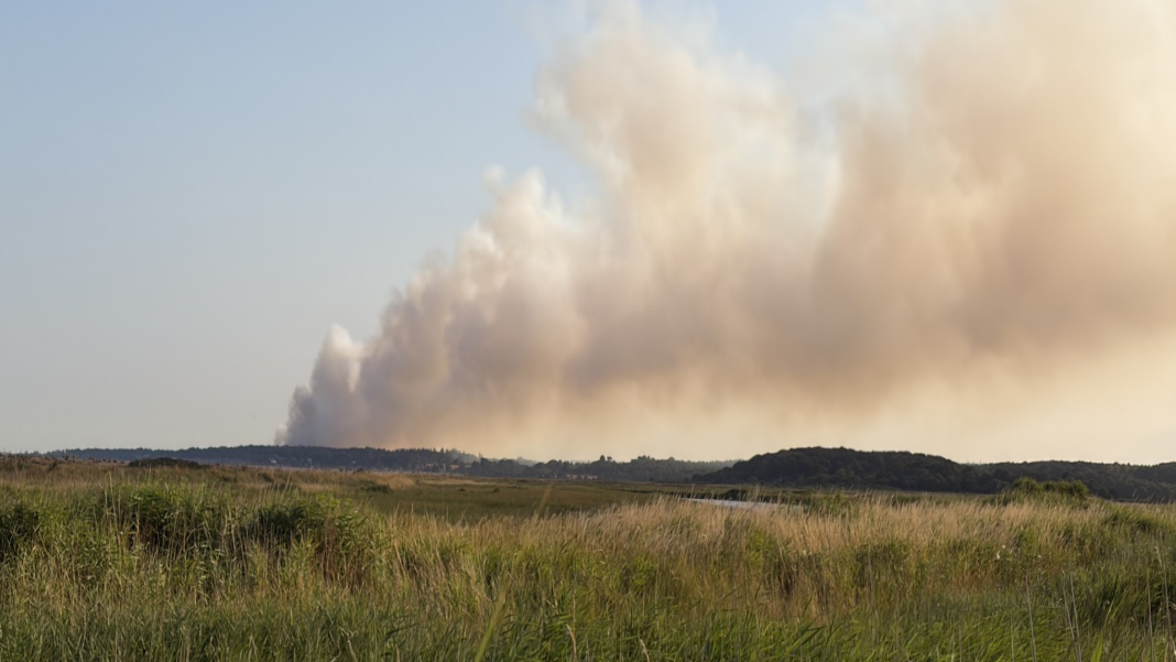 Major incident declared over coastal heath fire in Suffolk Major incident declared over coastal heath fire in Suffolk