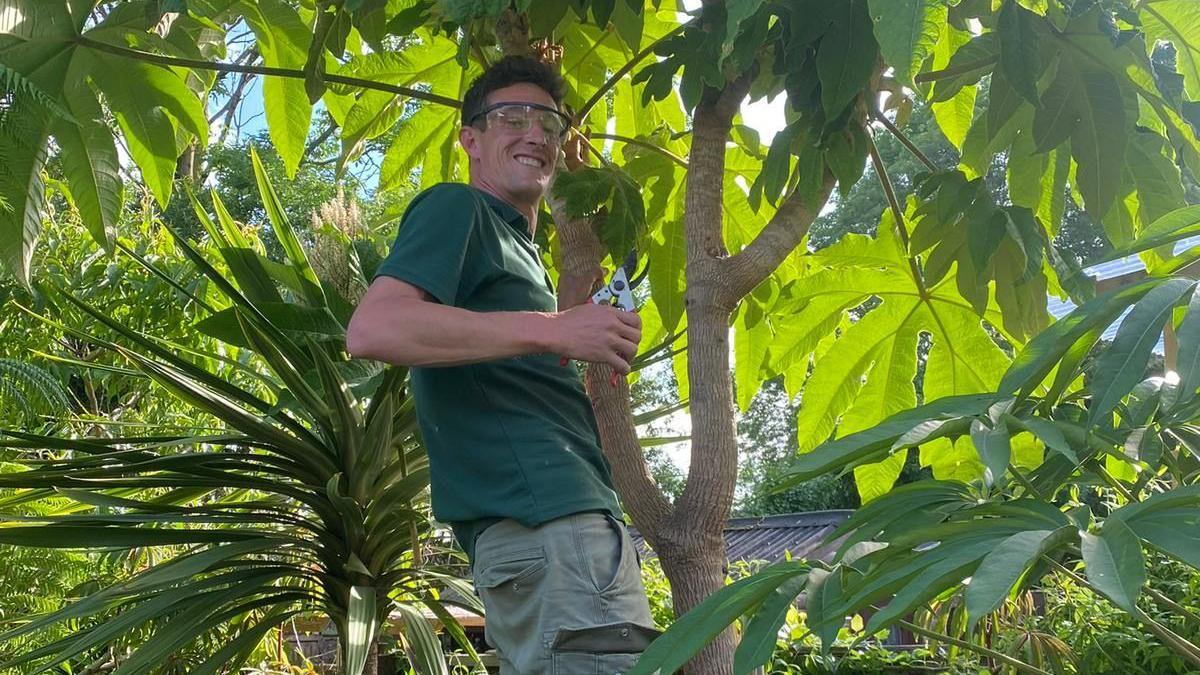 Dave Robinson at the top of a tree in the couple's garden. He is stood to the side and smiling at the camera. In his hand is garden secateurs. He is surrounded by large green leaves. He is wearing protective eye goggles, a dark green polo top and khaki green shorts.