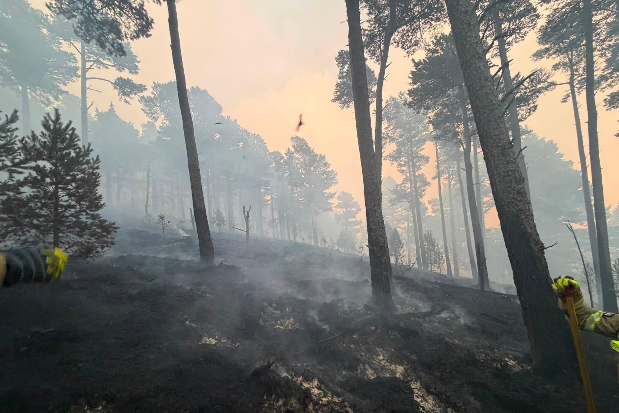 Smoke rises from fire-damaged ground and trees in the Cairngorms.