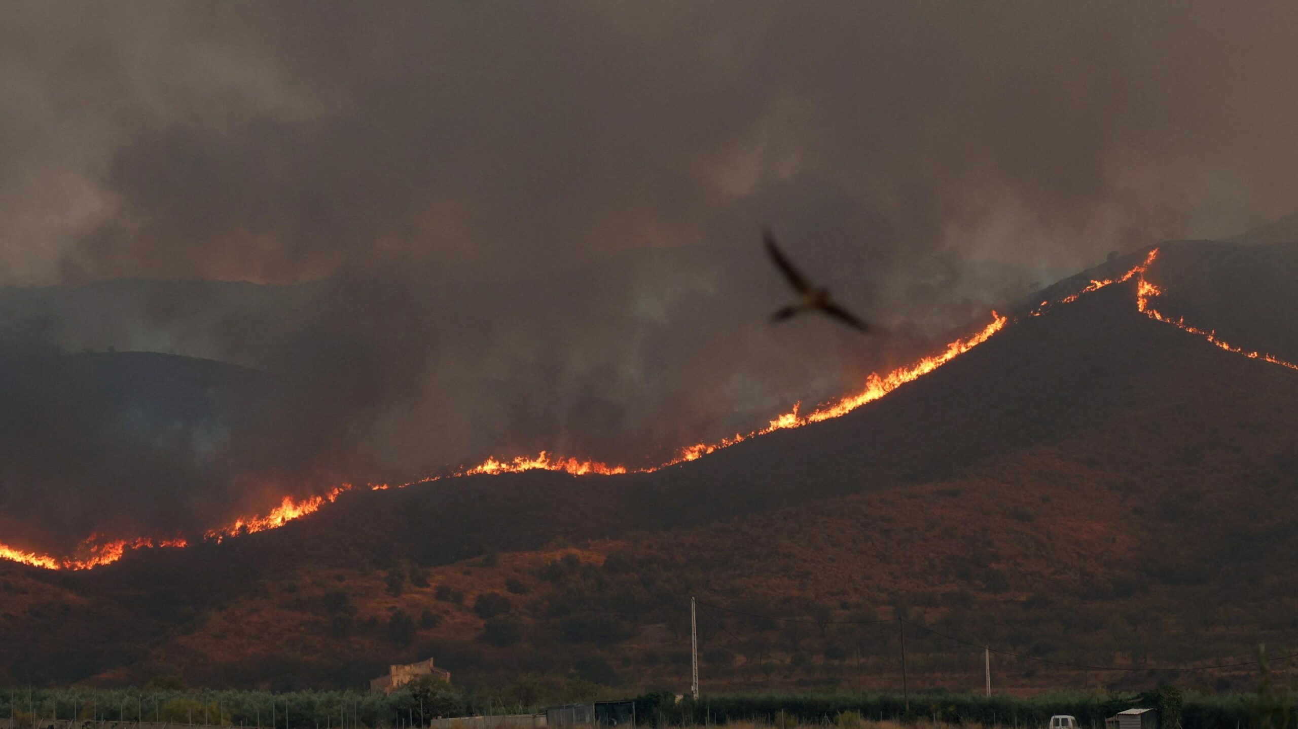 Deadly wildfires affecting Almeria province advance through the hills.