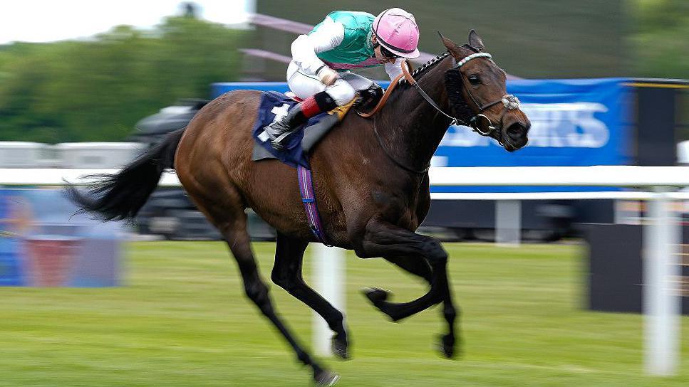 Kalpana’s King George win ‘number one’ for Balding Kalpana’s King George win ‘number one’ for Balding