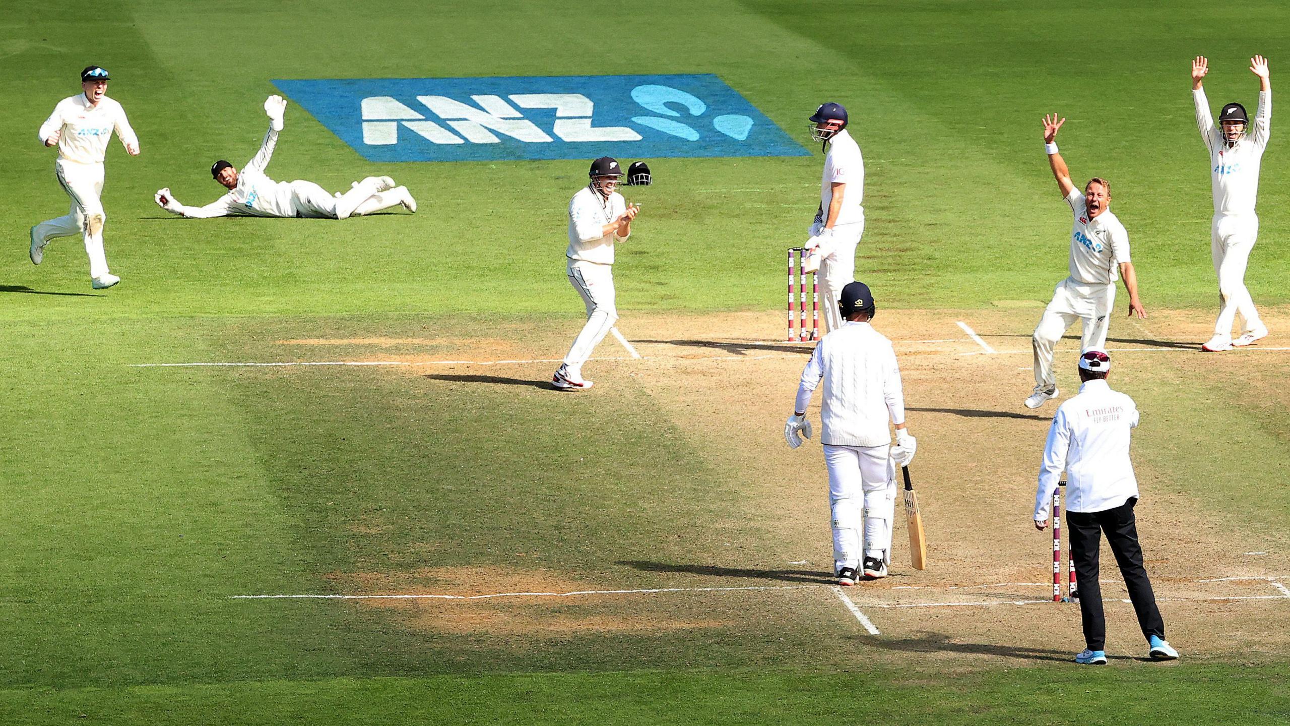 Bowler Neil Wagner and his New Zealand team appeal as the umpire starts to signal that James Anderson has been dismissed caught behind