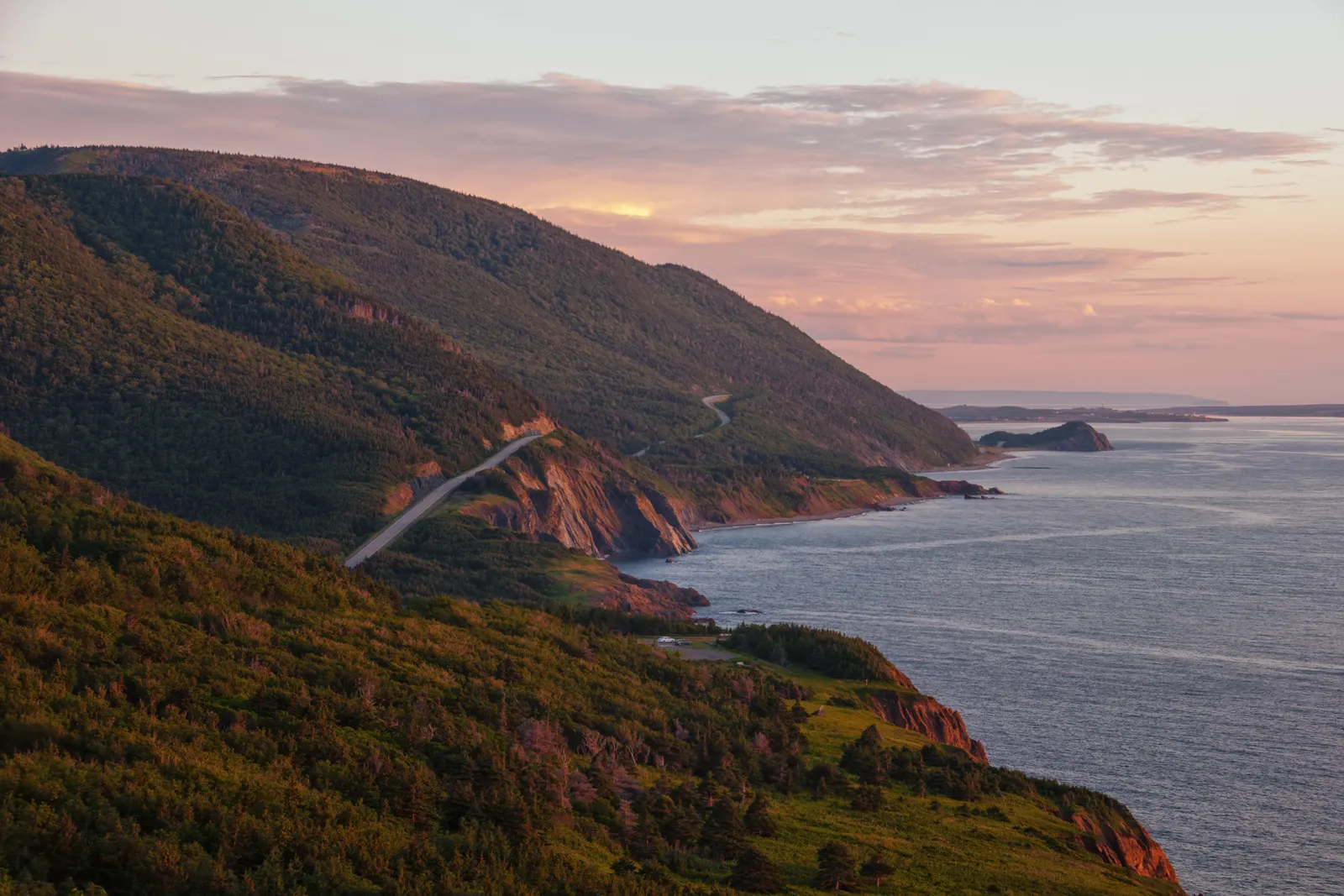Image may contain Nature Outdoors Promontory Water Sea Animal Canine Dog Mammal Newfoundland Pet and Land