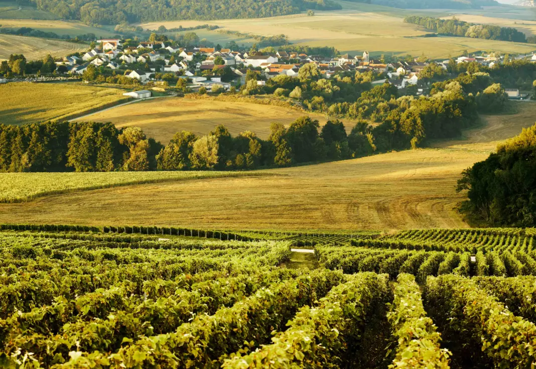 The Art of Winetasting on a Honeymoon in Champagne The Art of Winetasting on a Honeymoon in Champagne
