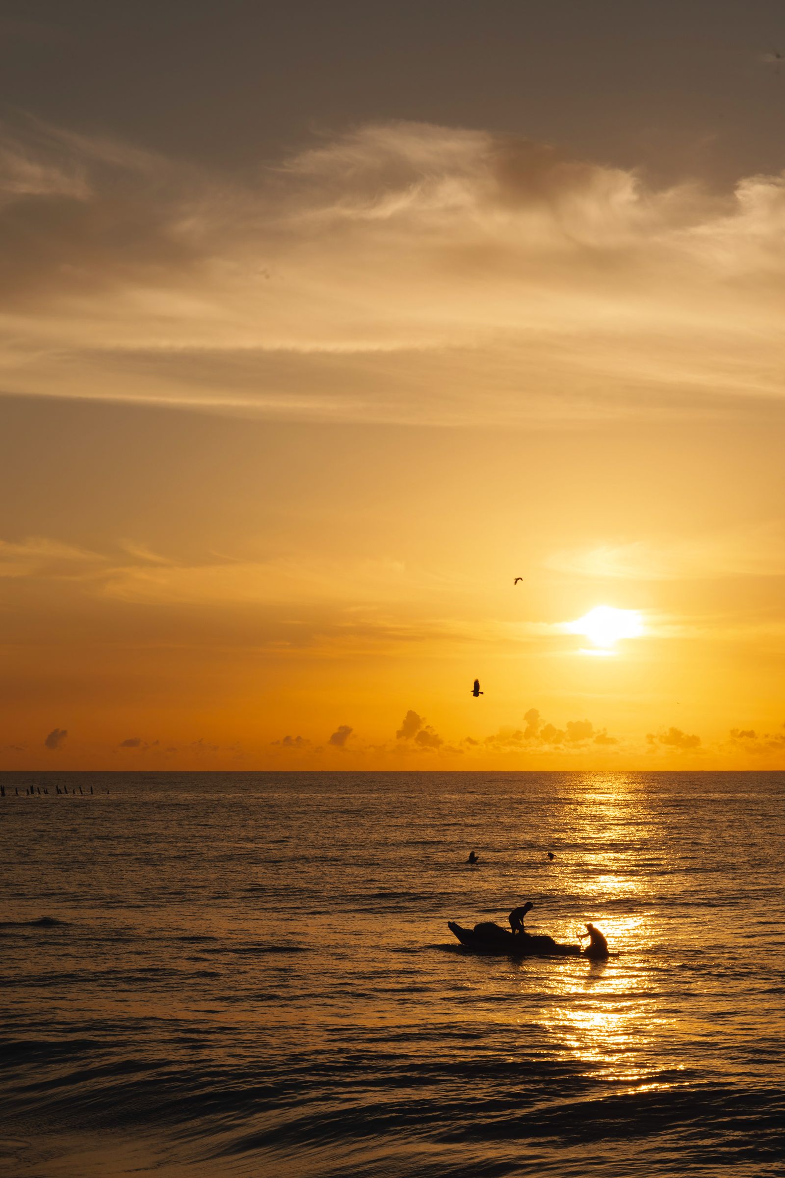 Image may contain Nature Outdoors Sky Horizon Sunrise Sun Water Person Cloud Sea Animal Bird and Scenery