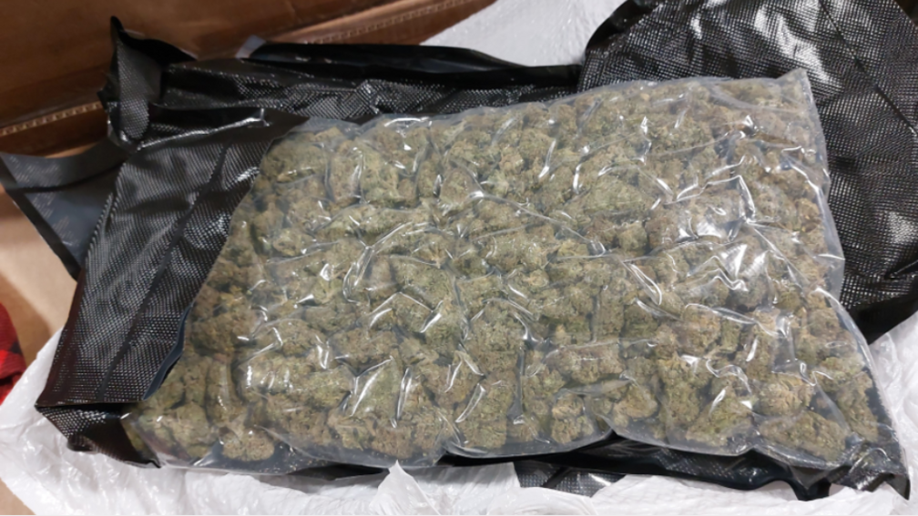 Drug mules flooding region face tougher penalties Drug mules flooding region face tougher penalties