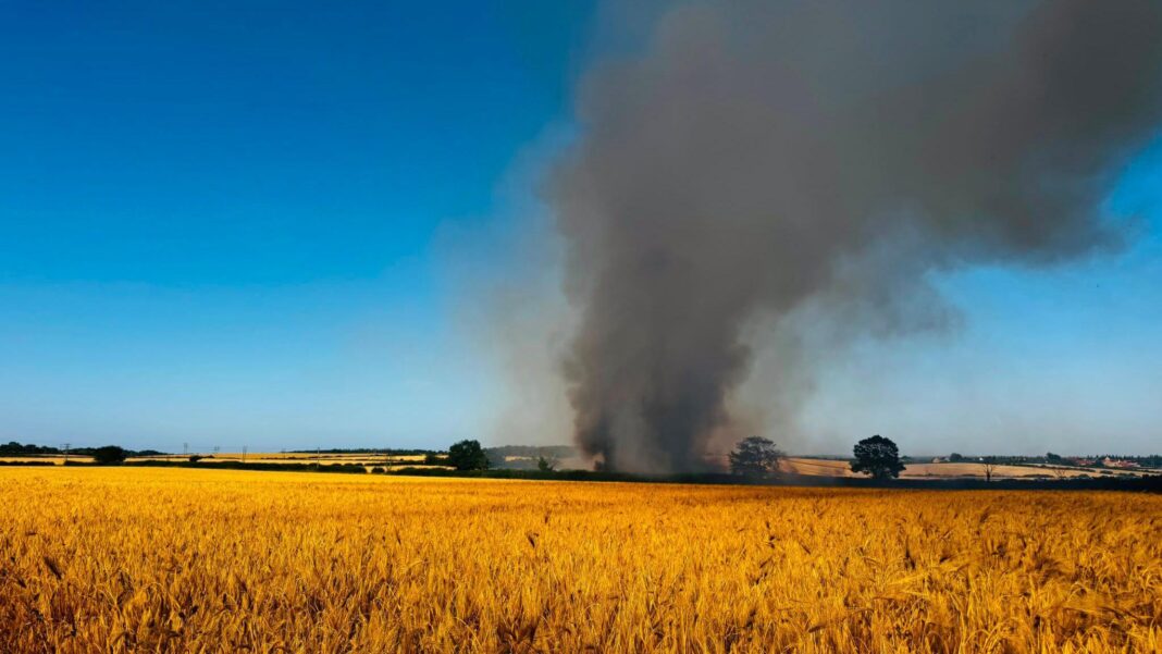 Wildfires burn in parts of UK as fire chiefs warn of extreme pressure Wildfires burn in parts of UK as fire chiefs warn of extreme pressure