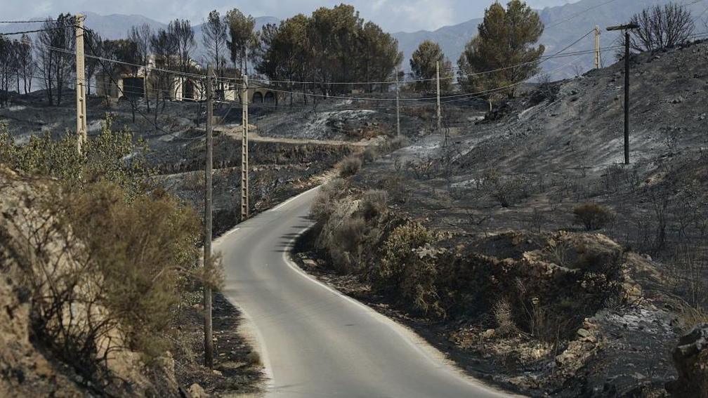 Firefighters, supported by helicopters and other emergency teams, carry out containment, surveillance and recovery operations across the burned landscape.