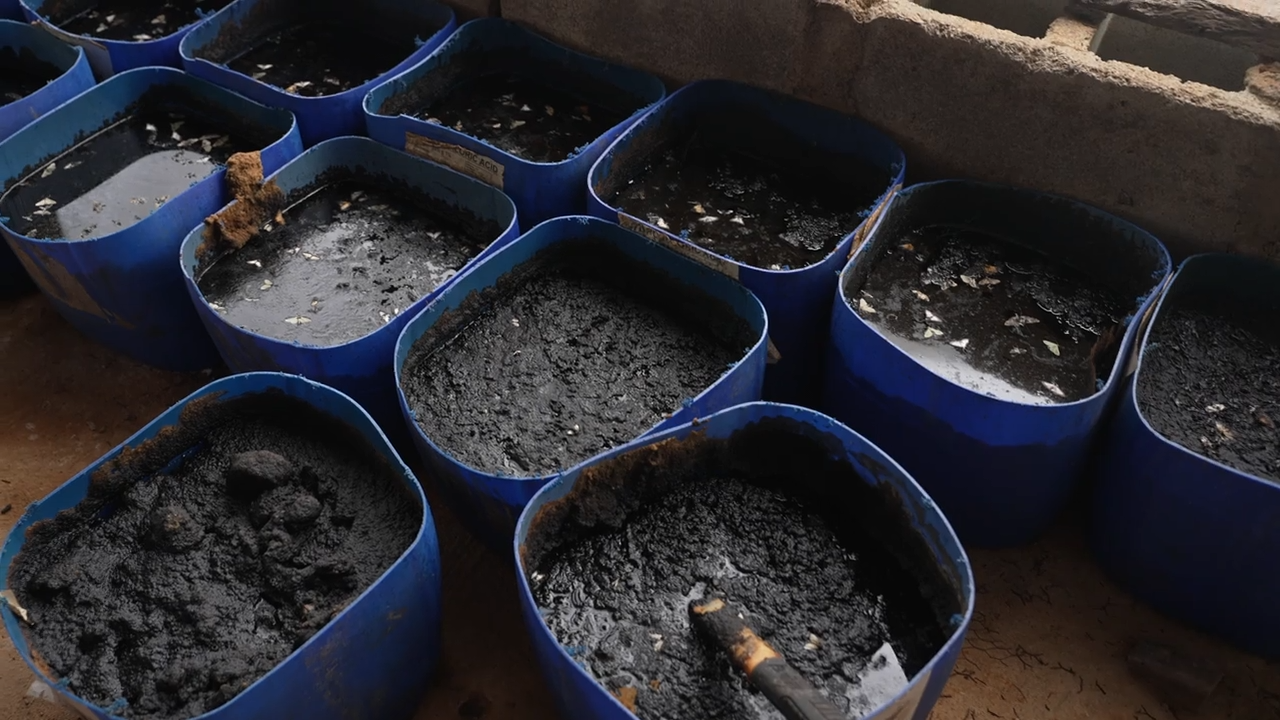 A series of blue plastic buckets lined up. Inside each bucket is a grey sludge.