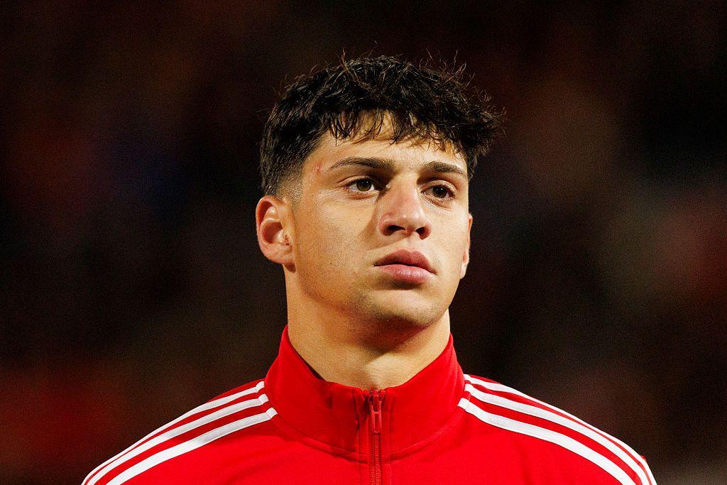 Brighton agree club record £46m Vuskovic deal Brighton agree club record £46m Vuskovic deal