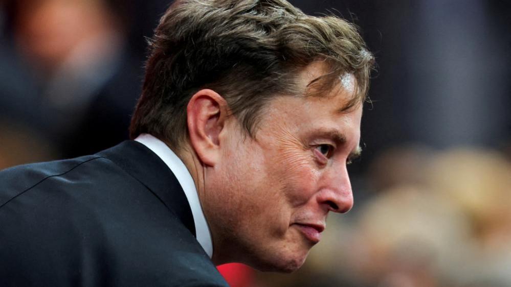 File image of Elon Musk