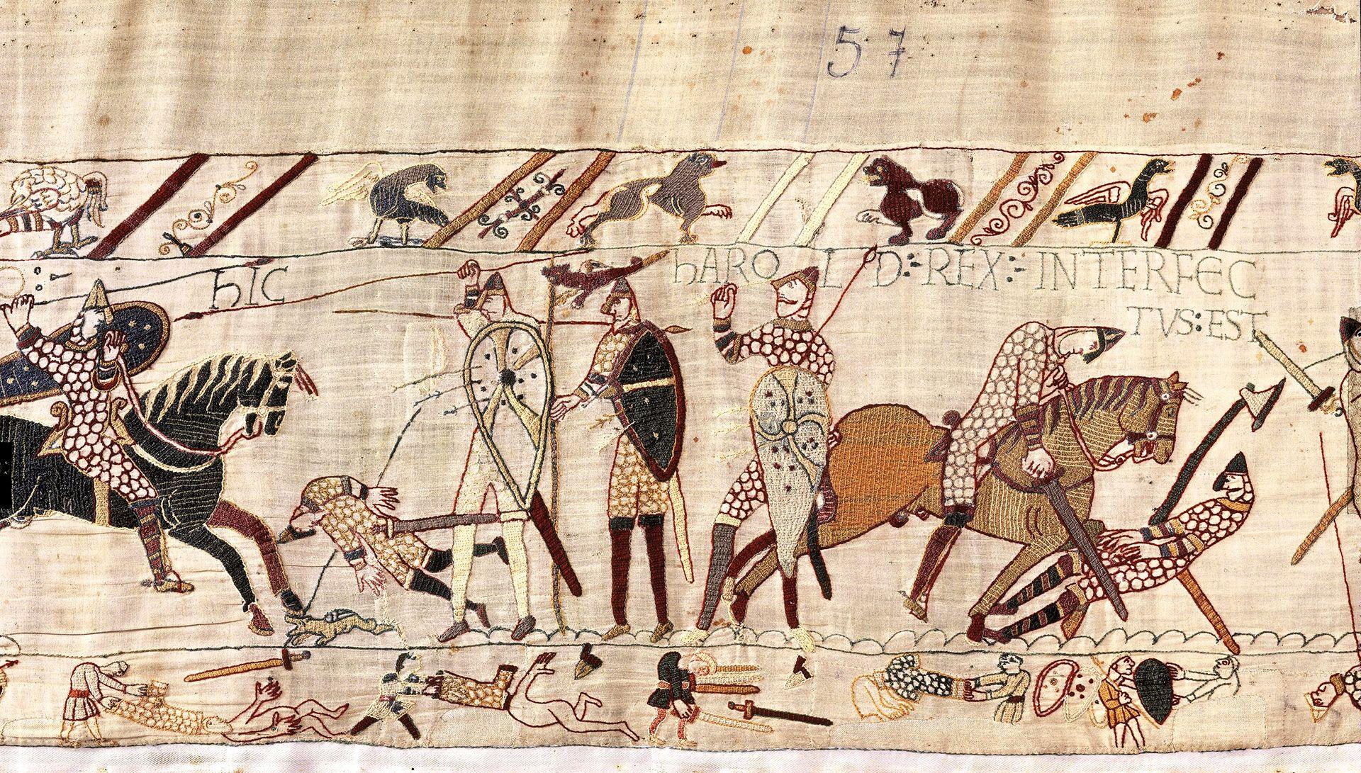 A wide crop shows the battlefield scene where Harold is depicted as being shot with an arrow surrounded by horses and knights, with birds and medieval writing reading 'Harold rex interfectvsest' with fabric detail showing the number 57.