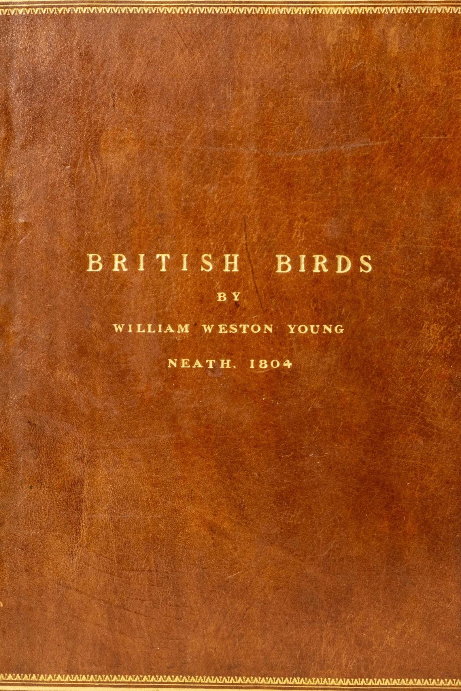 The front cover of William Weston Young's book 'British Birds'.