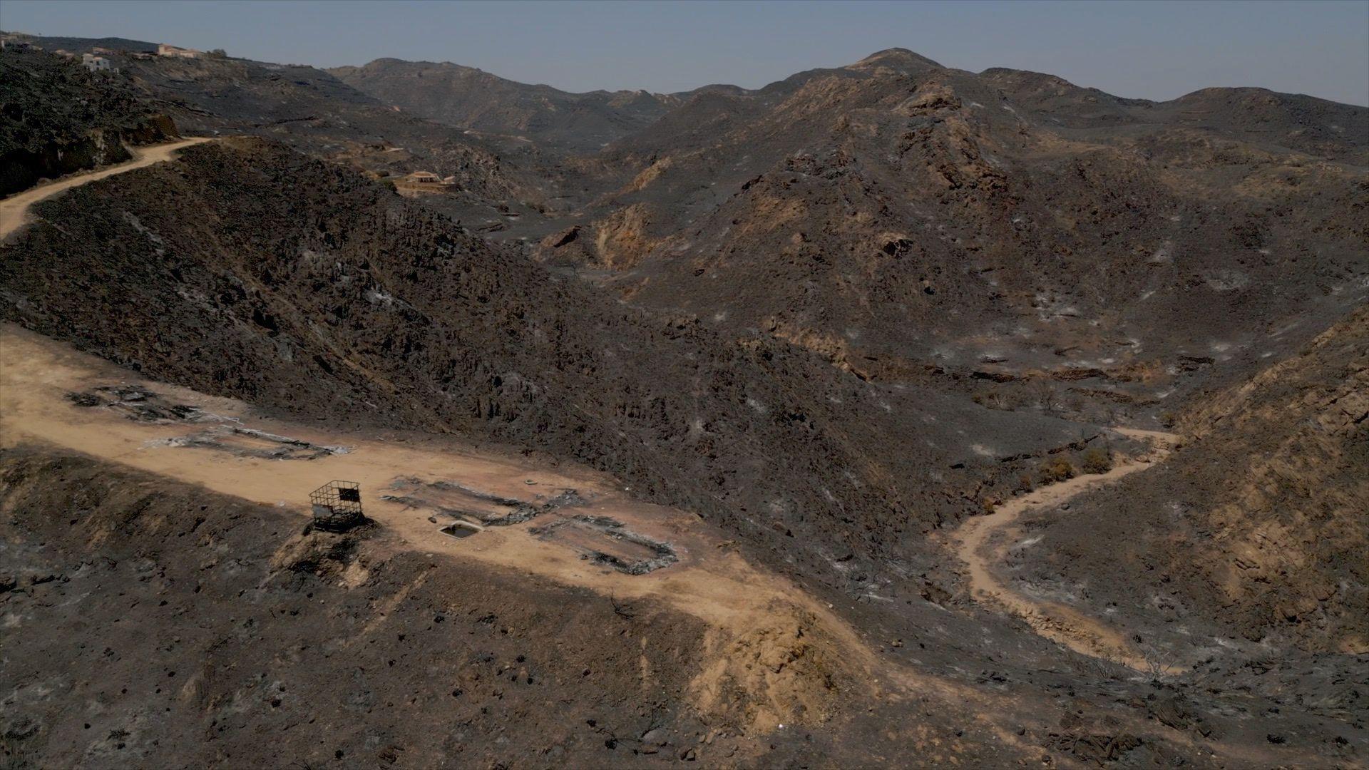 A charred landscape